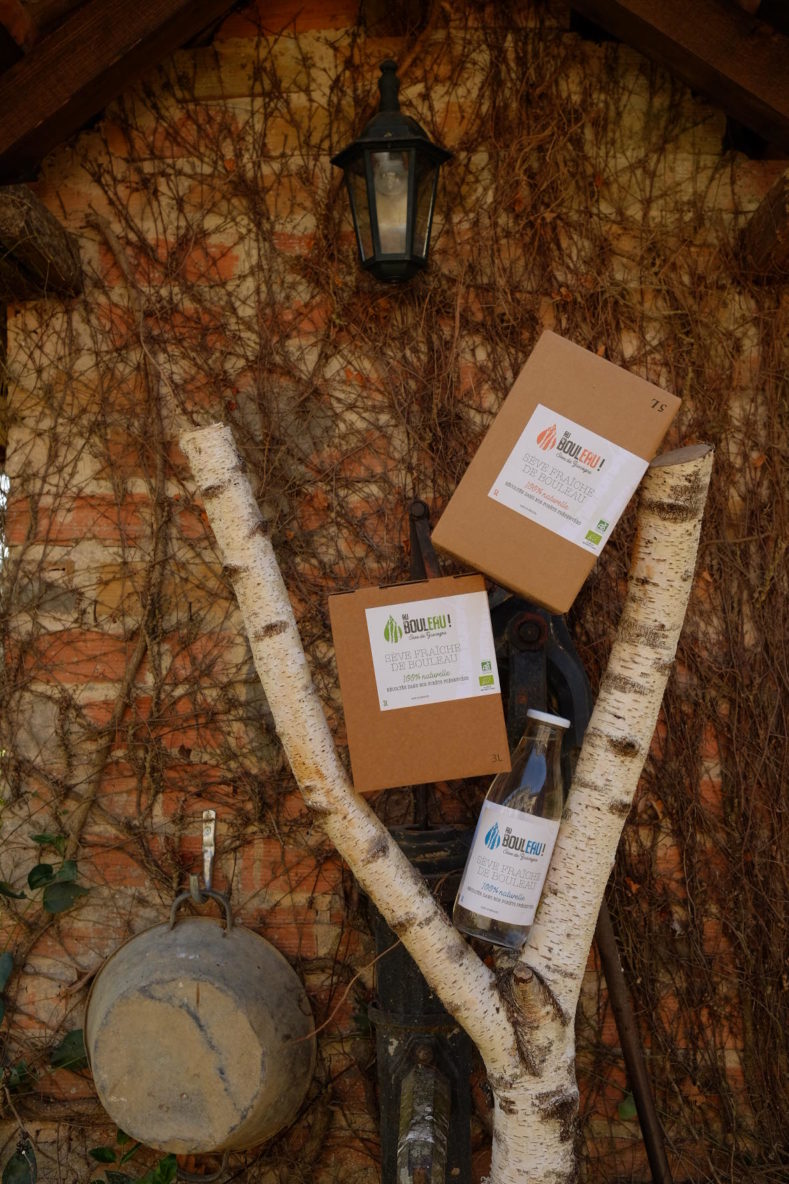 Sève de Bouleau frâiche et bio . Sève de Gascogne
