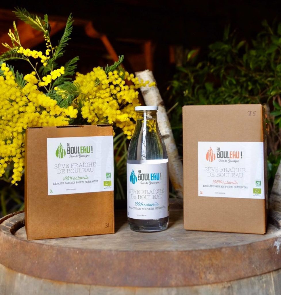 Sève de Bouleau frâiche et bio . Sève de Gascogne